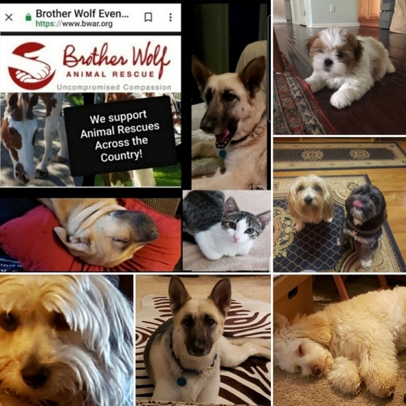 Double D Ranch Real Leather Skirt Supports Horse Rescue 🐎 - Picture 7 of 7